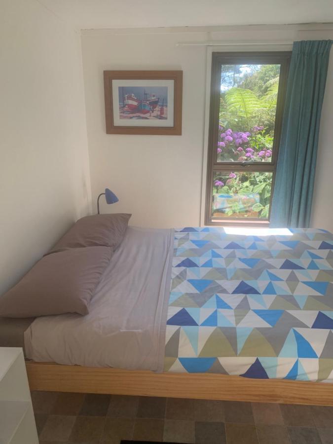 Pickled Parrot - Boutique Hostel Paihia Exterior foto
